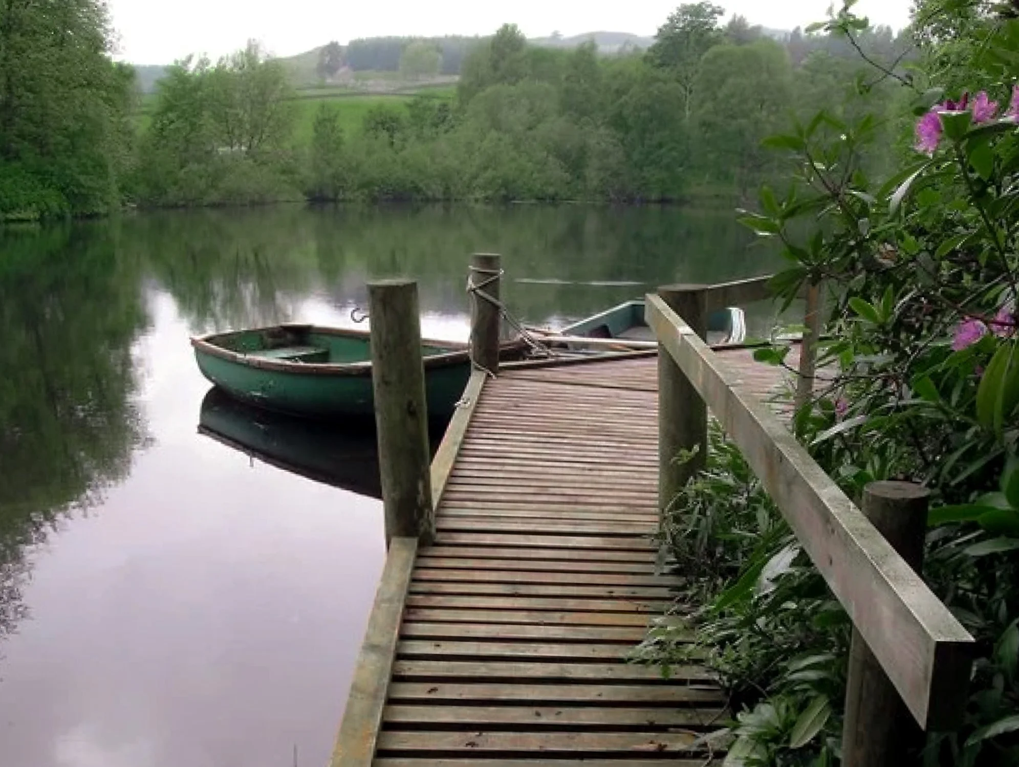 Screenshot 2026-03-31 180309.jpg