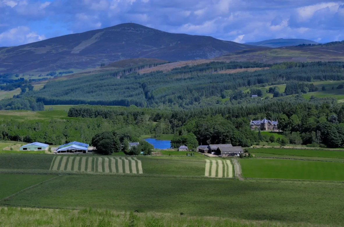 Screenshot 2026-03-31 180331.jpg