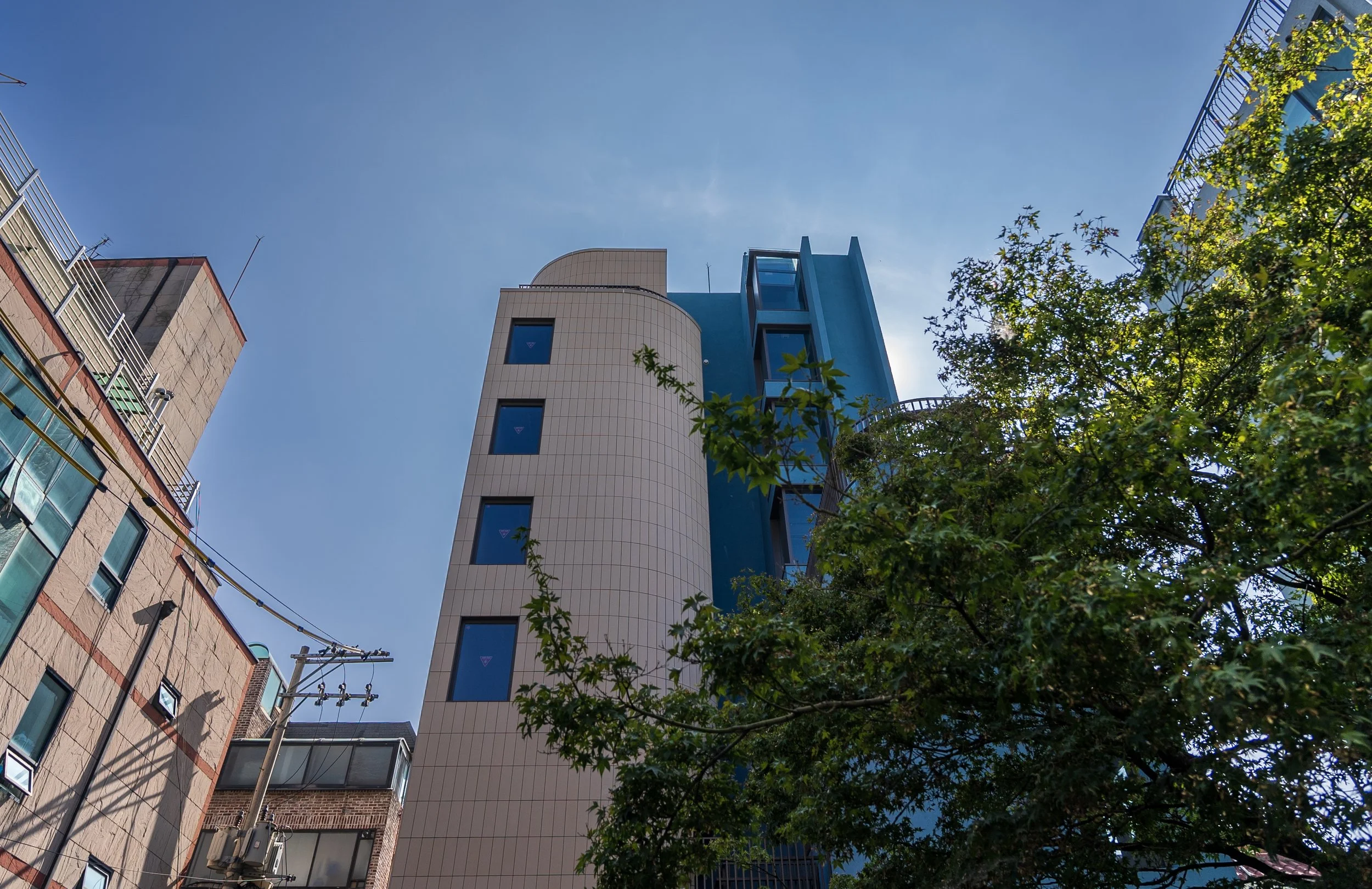 Low angle view of modern high-rise buildings with beige and blue facades, partially obscured by green tree branches against a clear blue sky.