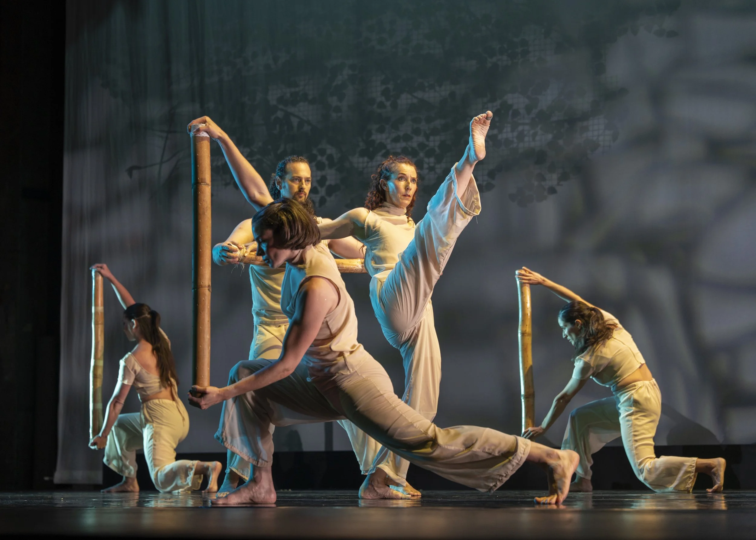 San Diego Dance Theater 2025