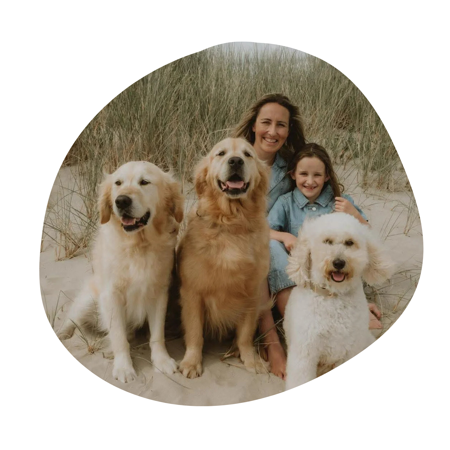 Alanah, founder of Tigerlily groodles sitting with three dogs, including Golden Retrievers and a groodle, surrounded by tall beach grass.