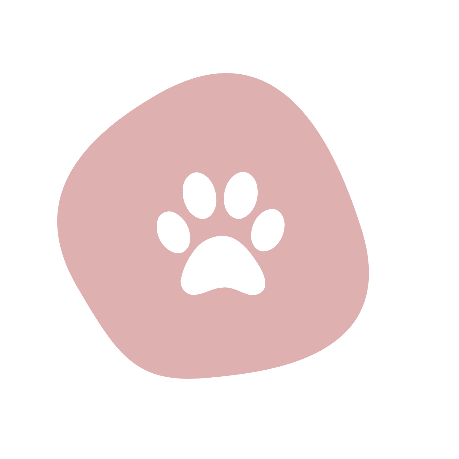 Illustration of a dog paw on a pink background