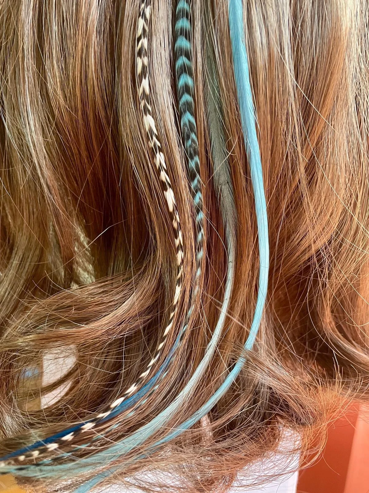 Close-up of blonde hair with several feathers and colored strands woven in.