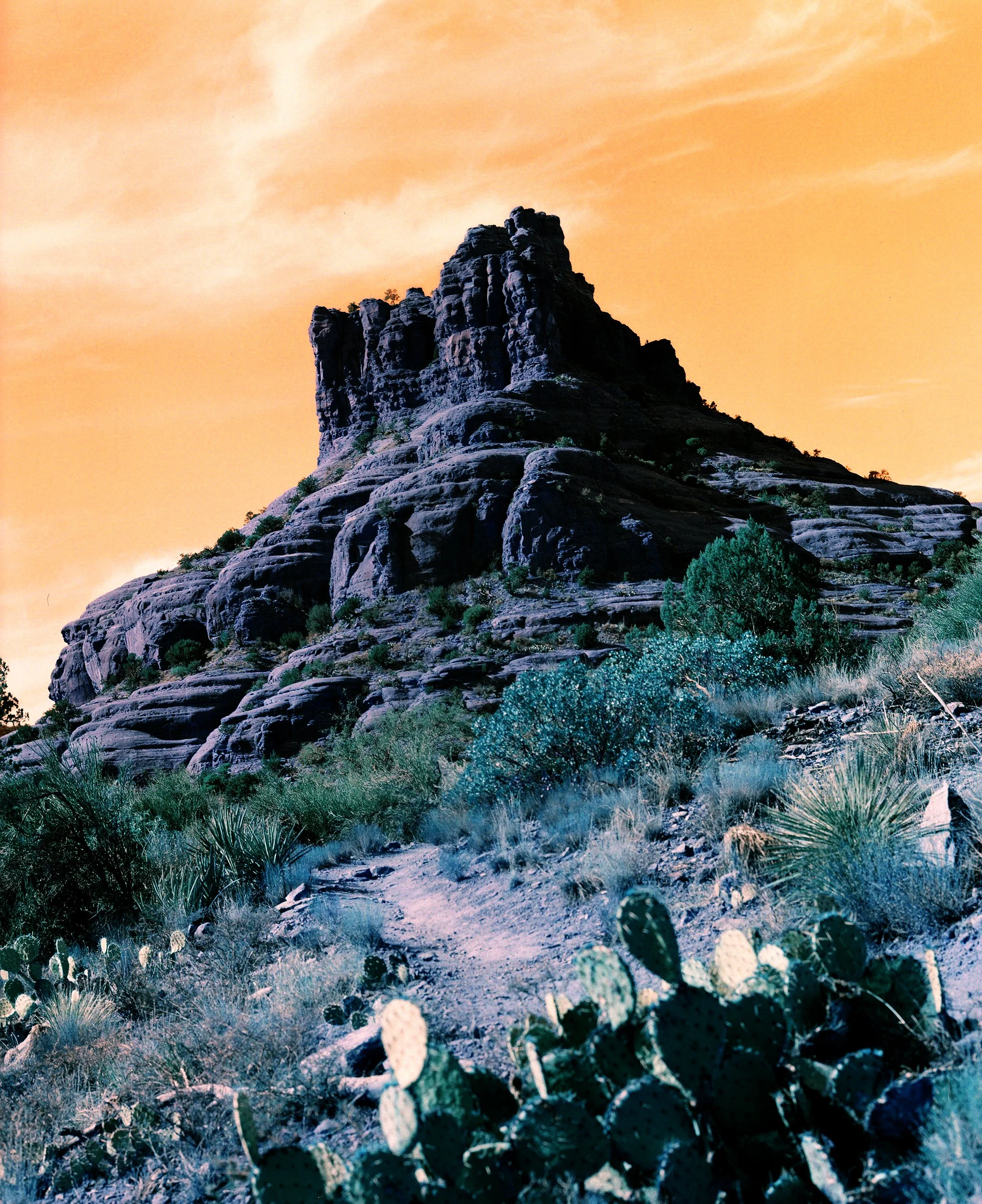 A rugged desert landscape with large rock formations and a variety of cacti and desert shrubs under a soft orange sky.