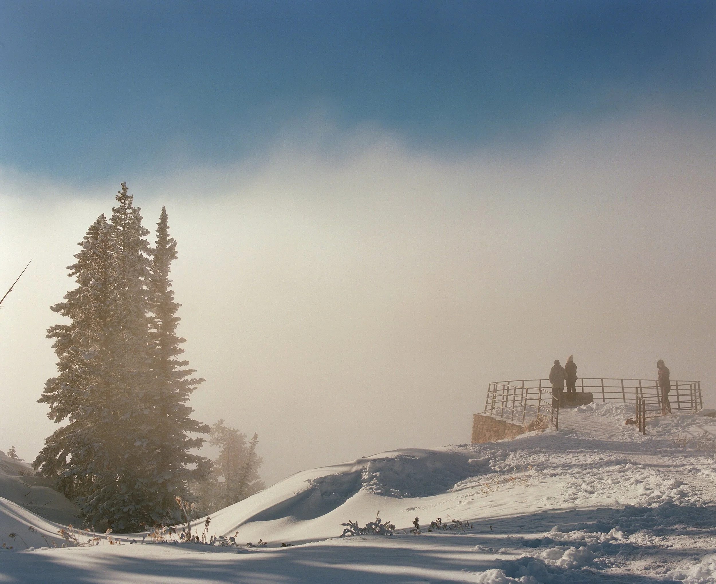Snow-covered landscape with a large pine tree on the left and three people standing on an observation platform on the right, under a pale blue sky.
