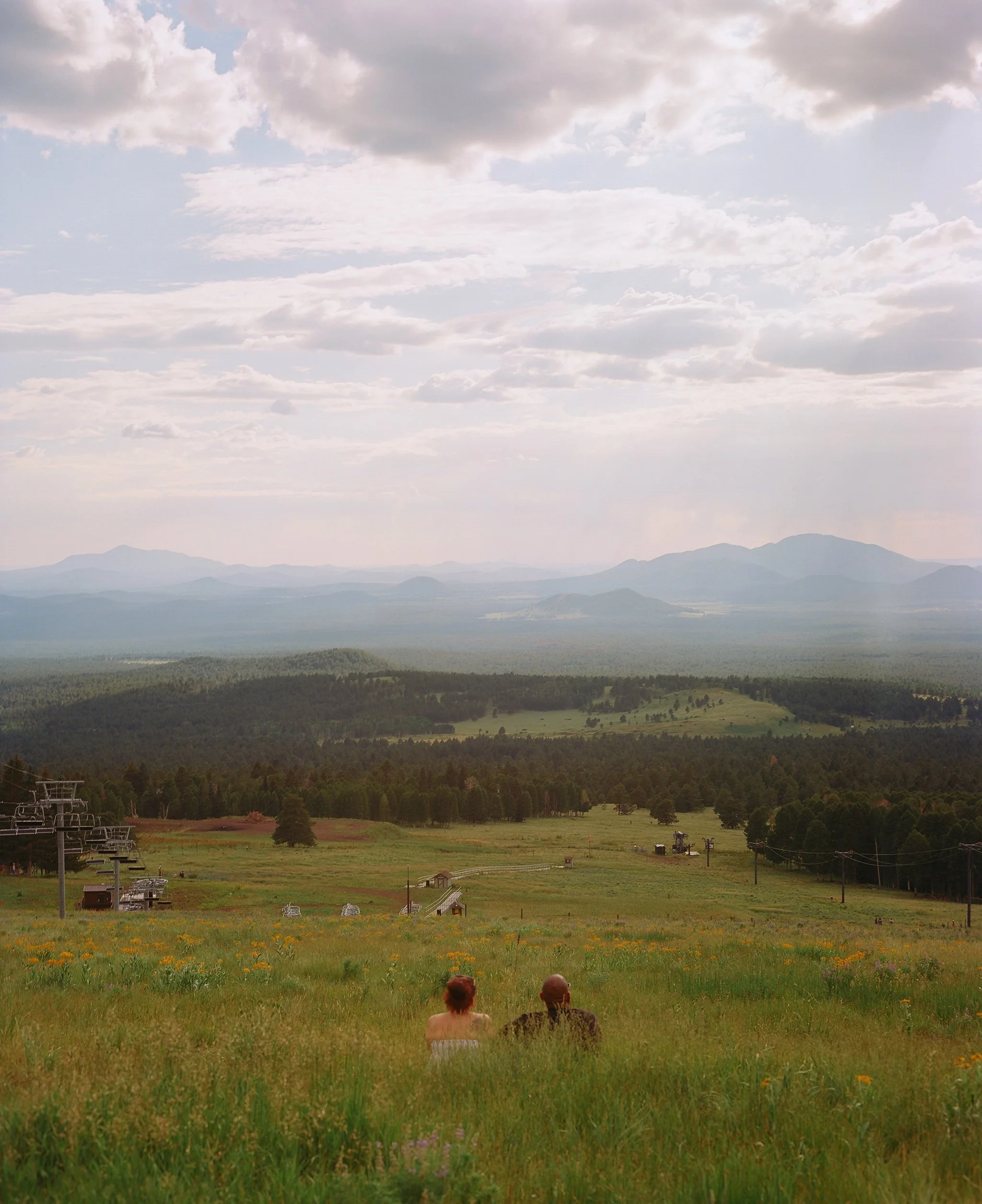 A picturesque landscape featuring a lush green field with yellow flowers in the foreground, two people sitting on the grass, distant mountains in the background, and a partly cloudy sky overhead.