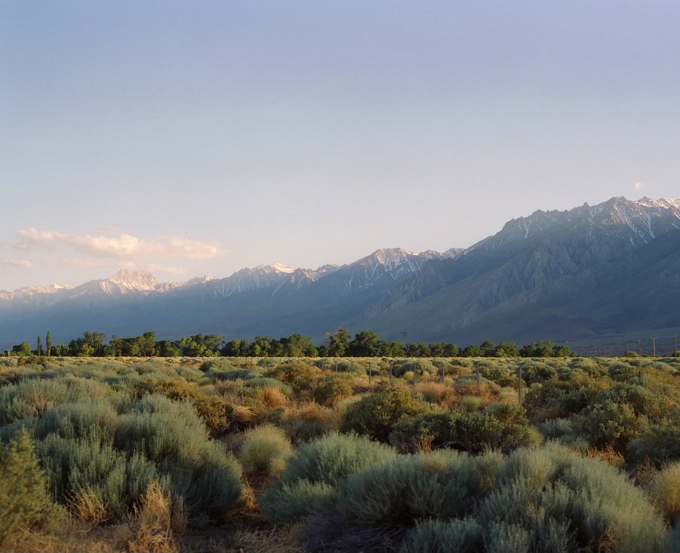 Mountain range with snow-capped peaks in the distance, green vegetation in the foreground, and a clear blue sky.