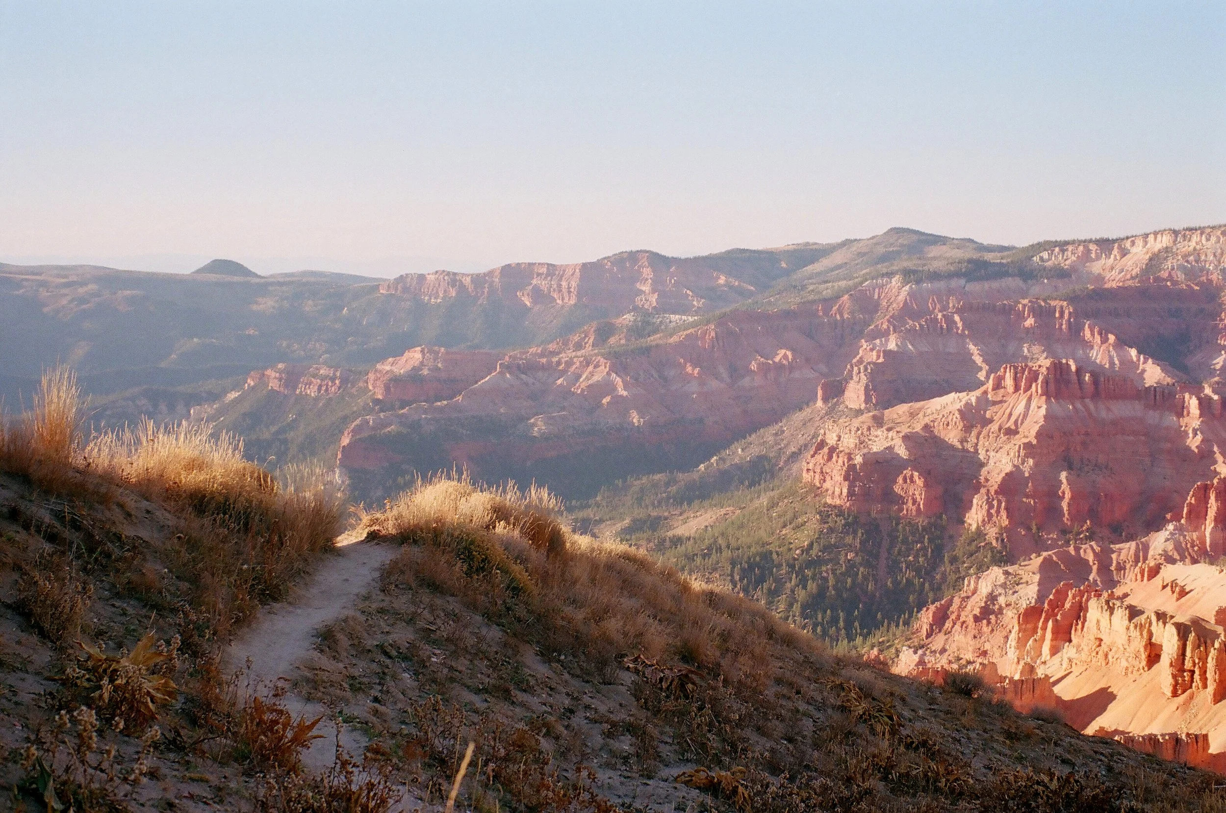 Scenic view of the Grand Canyon with layered rock formations and a dirt trail in the foreground.