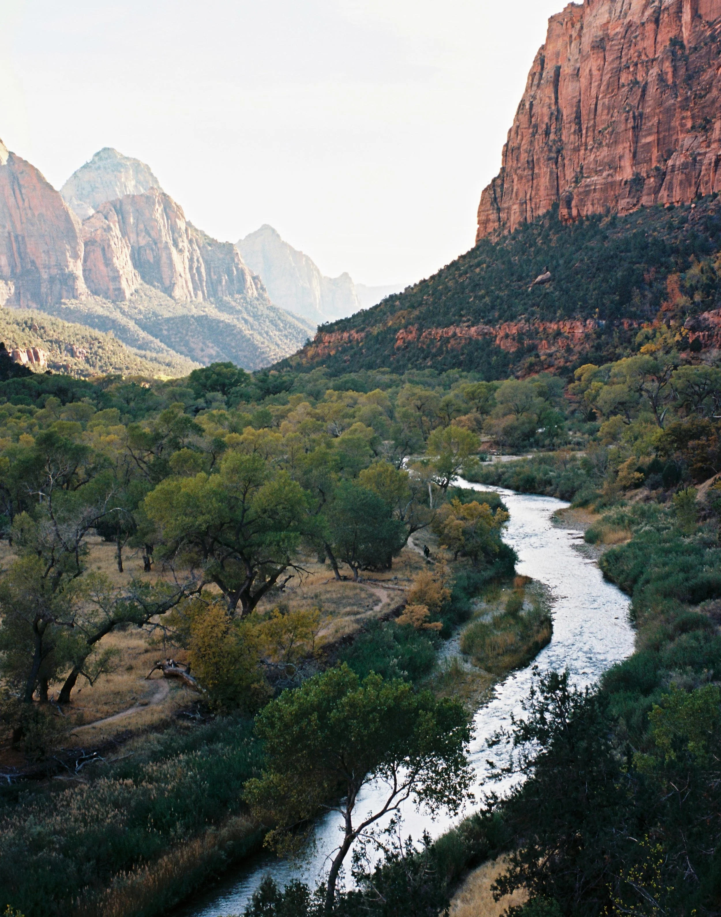 Zion1.JPG