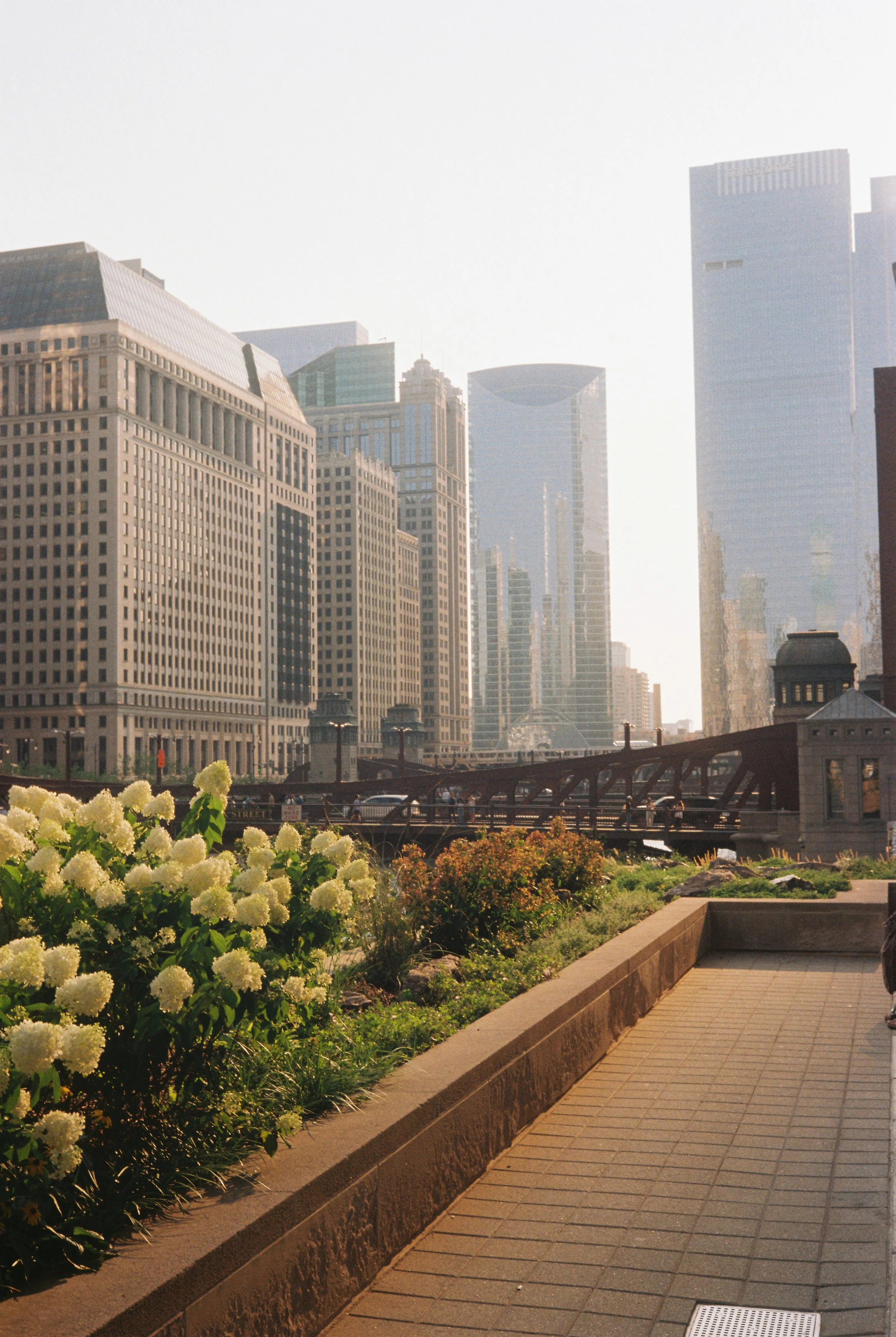 Chicago.JPG