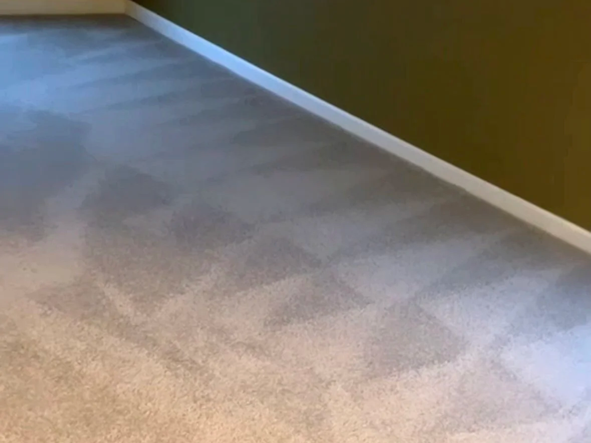 Clean empty room after move-out cleaning with freshly cleaned carpet and surfaces.