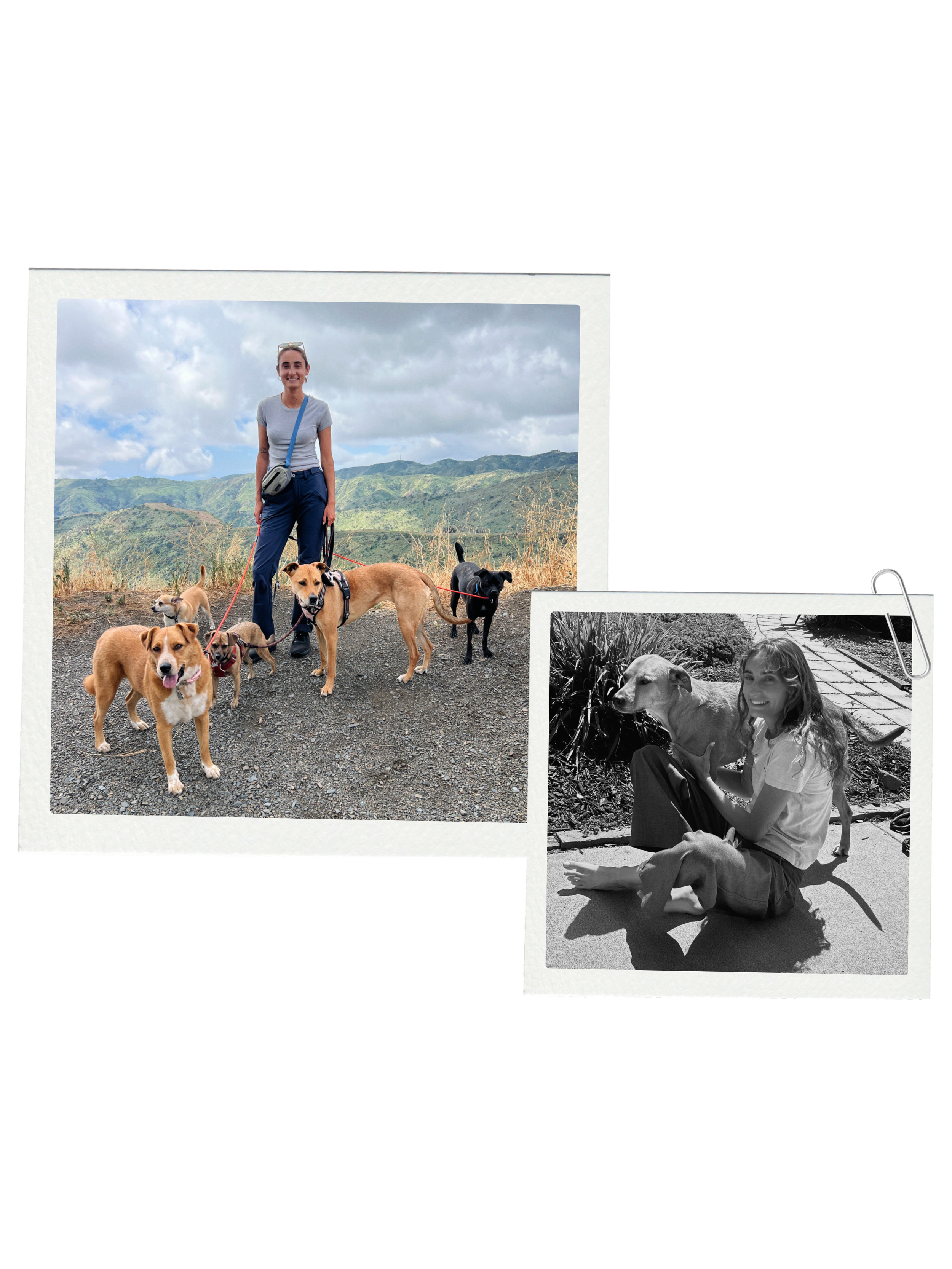 Color photograph of a woman smiling with five dogs on leashes outdoors, with a mountainous landscape and cloudy sky in the background. Black-and-white photograph of the same woman with a dog, sitting on a bench near bushes.