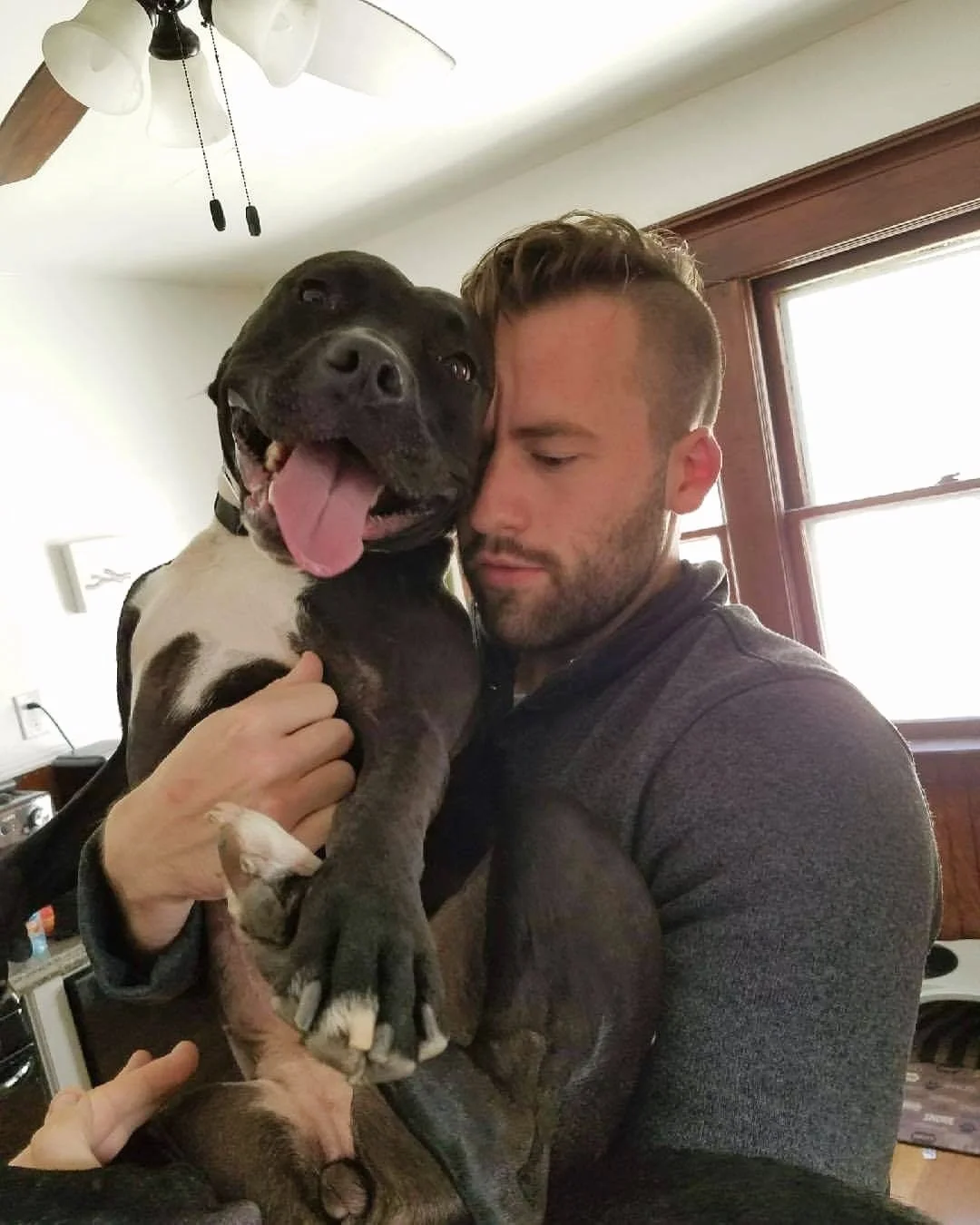 A man hugging a joyful black and white dog inside a home with wooden window frames and a ceiling fan.