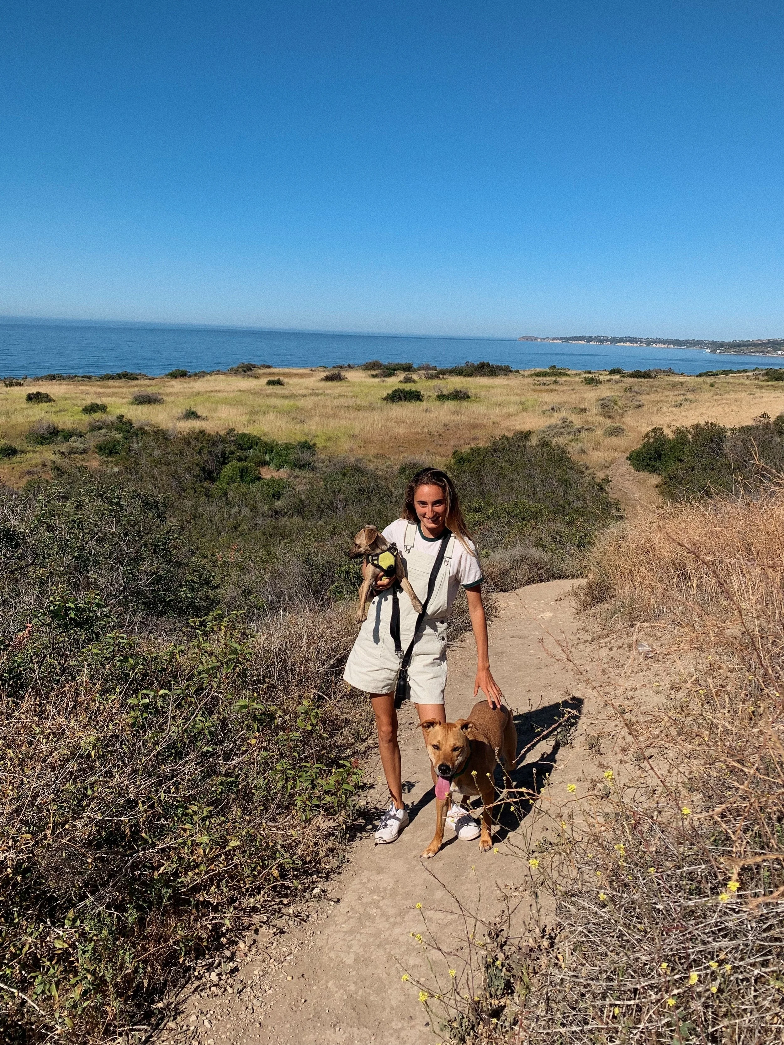 A woman walking on a dirt trail with two dogs in a coastal area, with shrubs and grass in the foreground, ocean and a distant shoreline in the background on a sunny day.