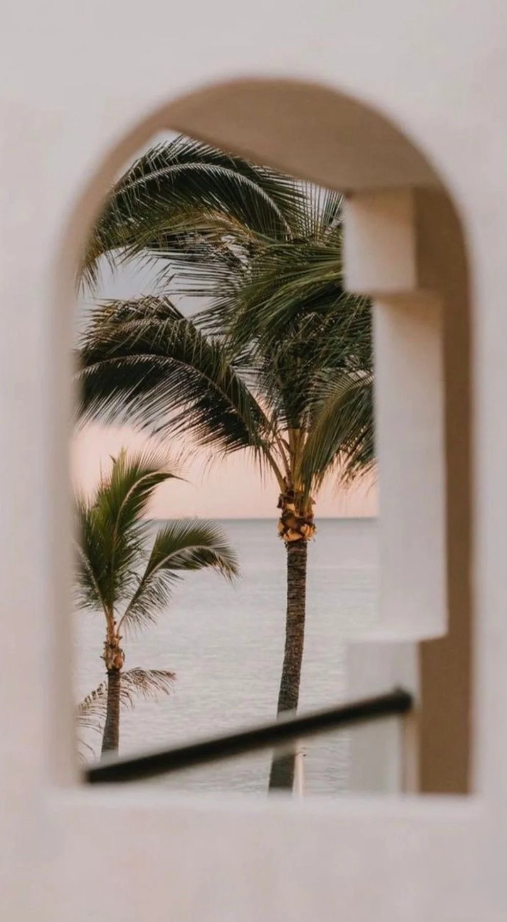 View of palm trees through a small window or opening with an ocean or sea background during sunset or sunrise.