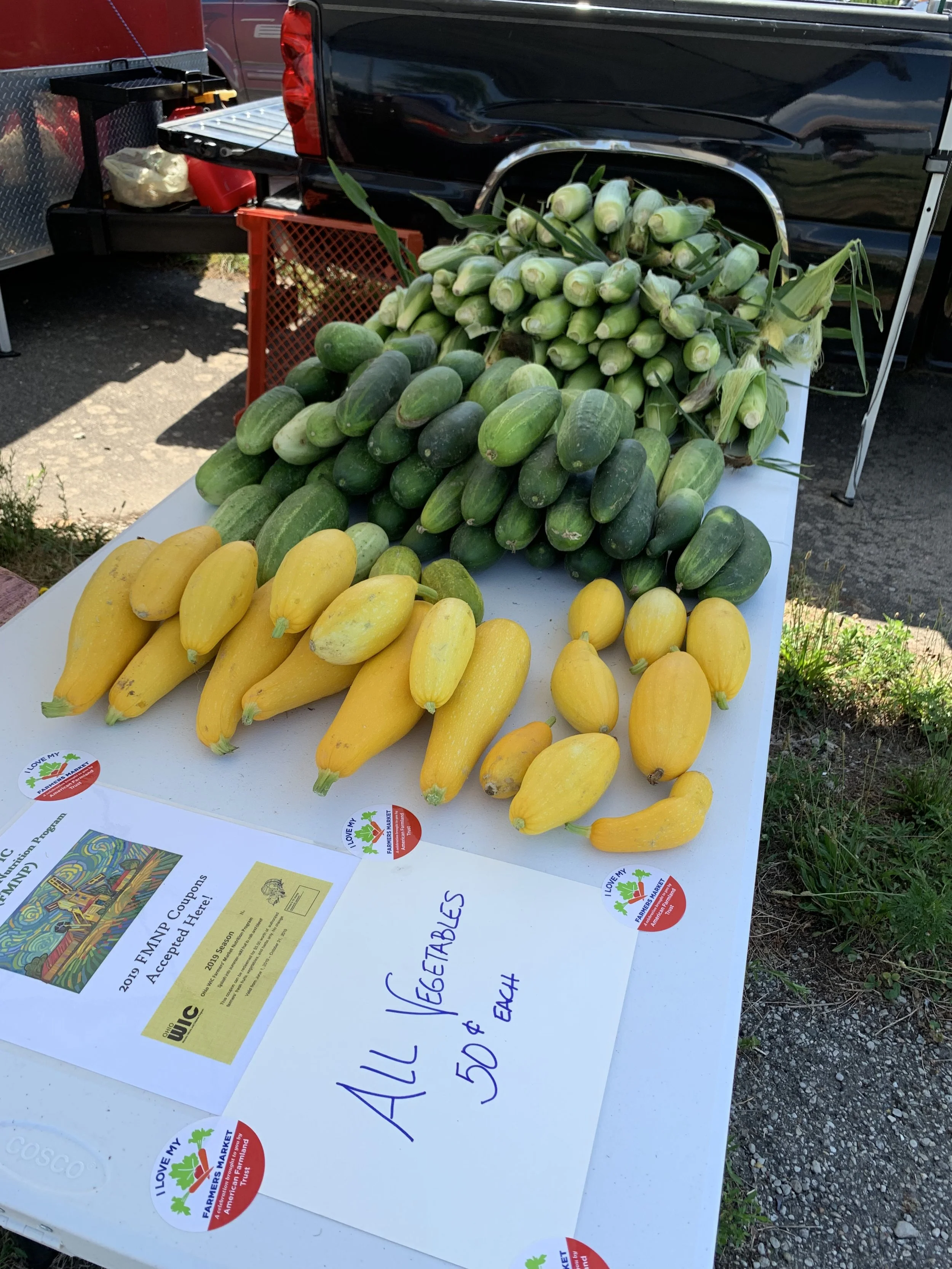Various fresh zucchinis and summer squash displayed on a table at a farmers market with a sign indicating all vegetables are 50 cents each.