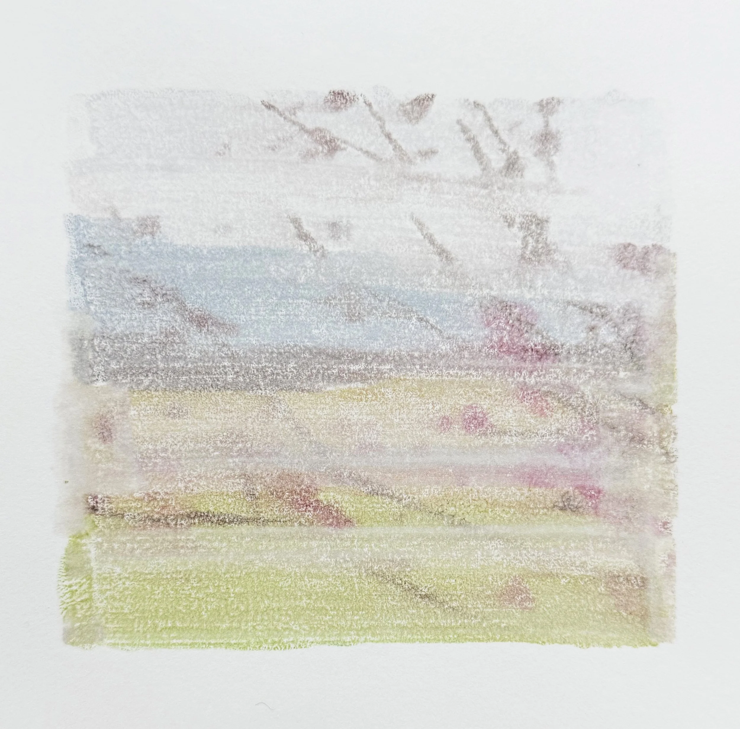 Vevi, 2025, Monoprint on arches paper, 11.5 x 12cm 
