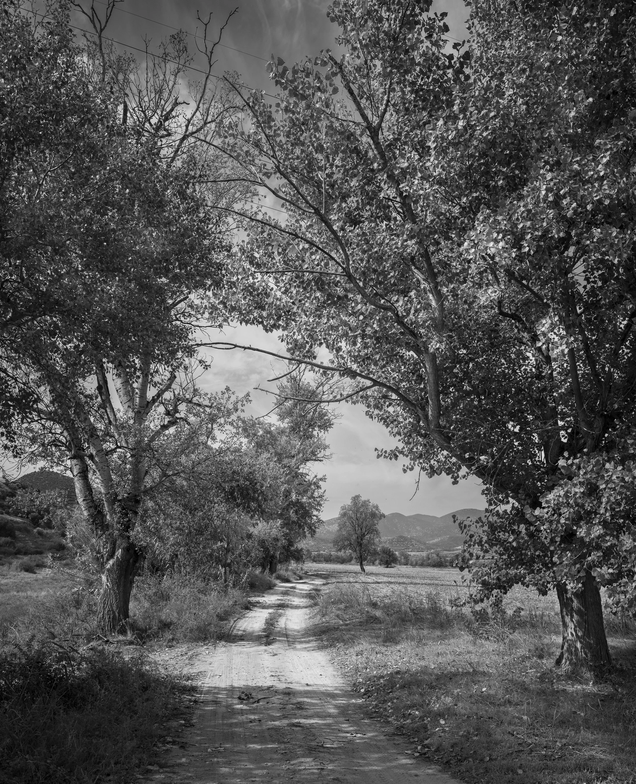 Klidi Pass (Vevi), 2025, digital photograph, ink-jet print on archival rag paper, edition of ten + AP. 