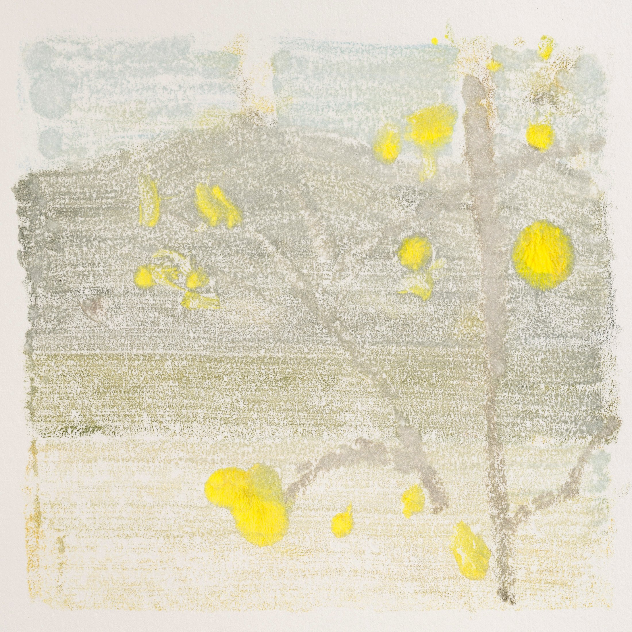 Vevi II, 2025, Monoprint on arches paper, 11.5 x 12cm 