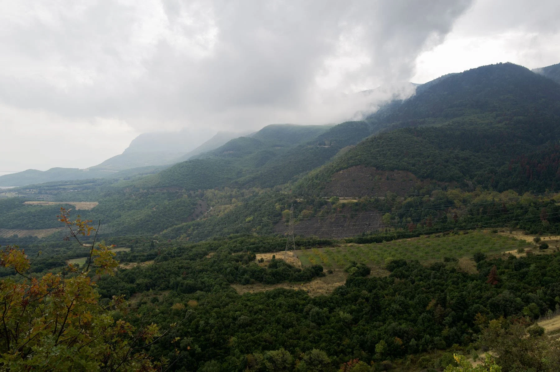 L1000642-australians persued by germans up the mts- THERMOPYLES mt-battle of thermopylae.jpg