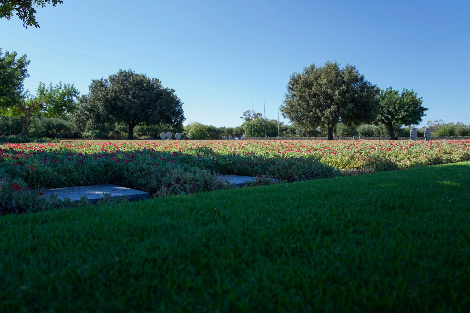 L1001094.jpg