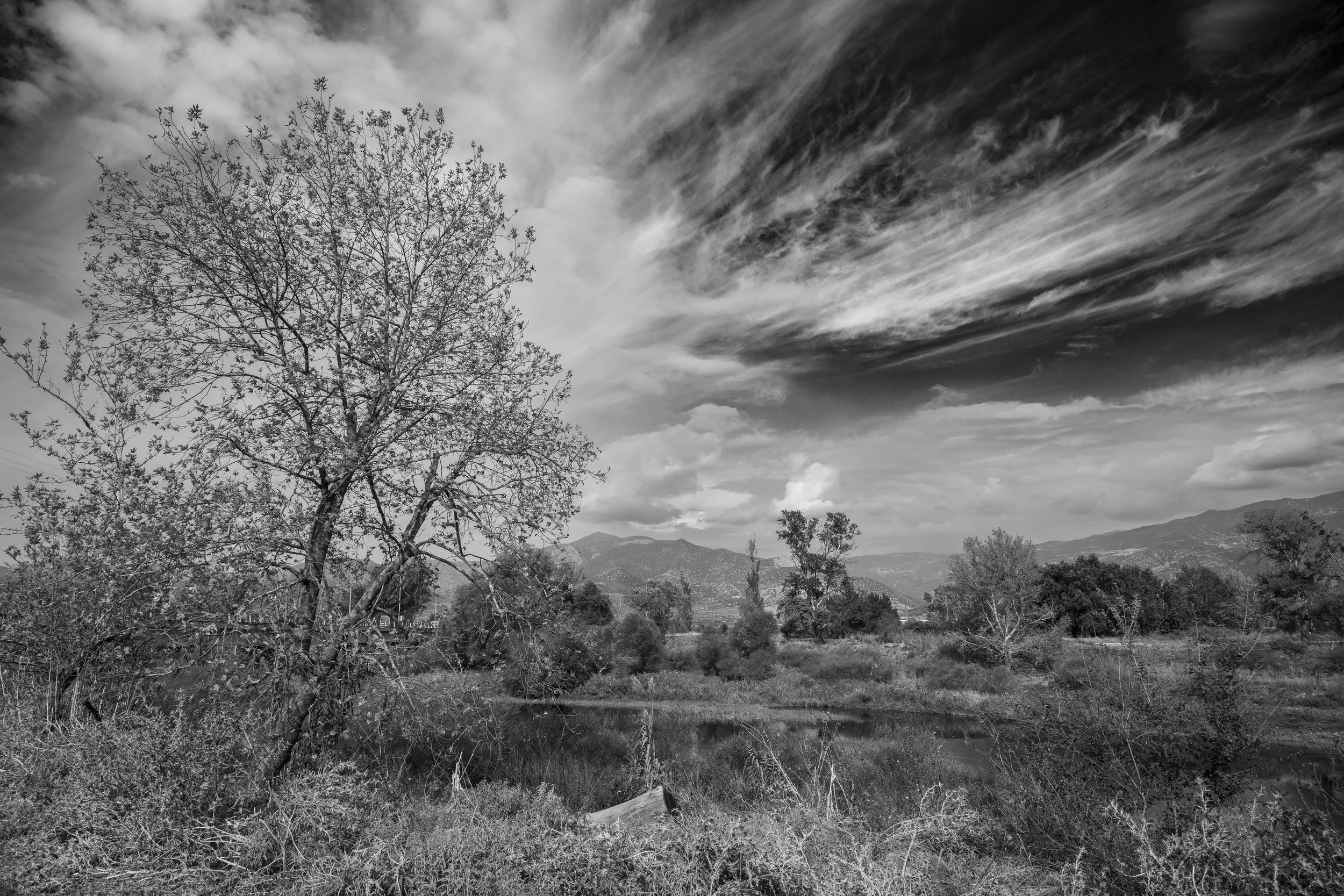 Battle of Vevi, 2025, digital photograph, ink-jet print on archival rag paper, edition of ten + AP. 