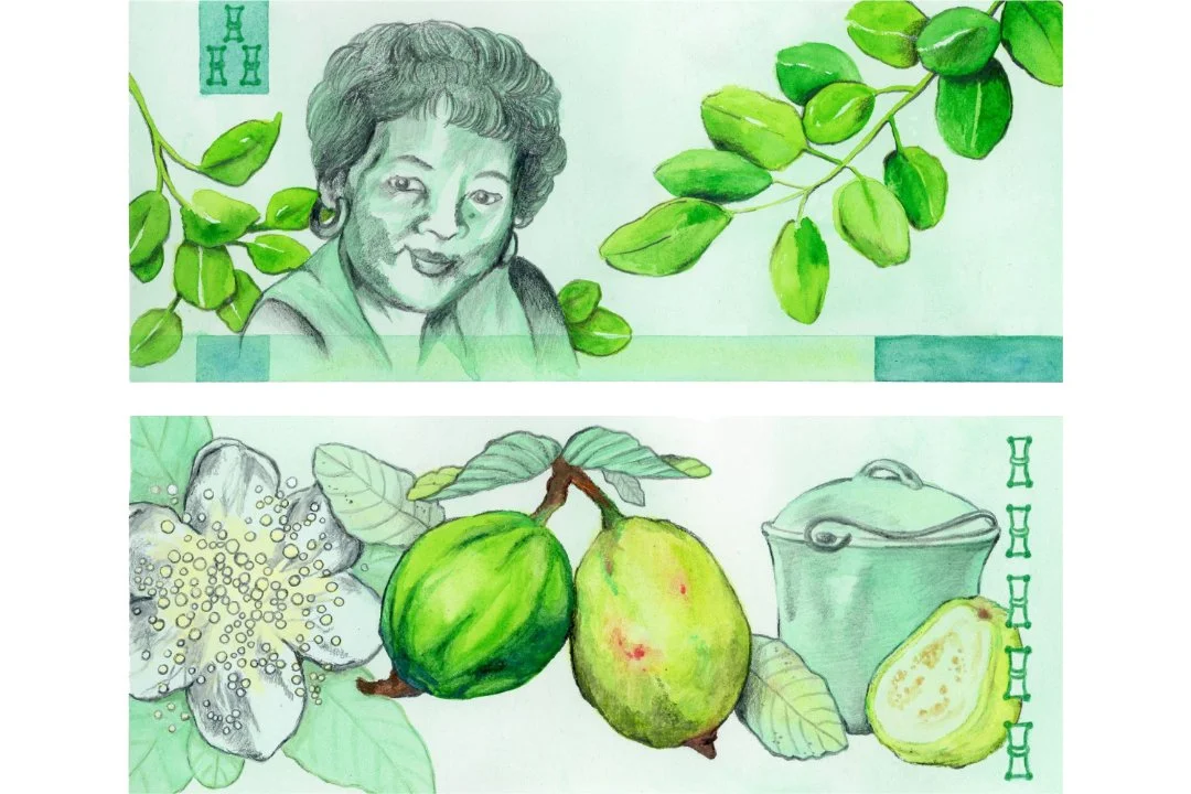 Green 200-peso design features Lola Luisa in her 50s with moringa plants on the front. Guava flower & fruits and cooking pot on the back. Bamboo mahjong tile motif.