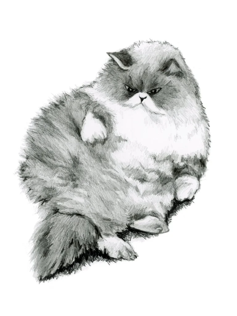 Monochrome Magic - Hinode the Cat