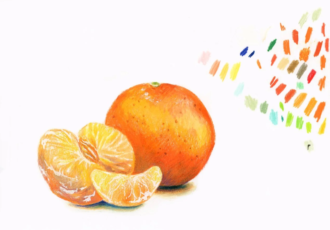 Colored pencil sketch of tangerine slices and whole tangerine with color splotches on the side.