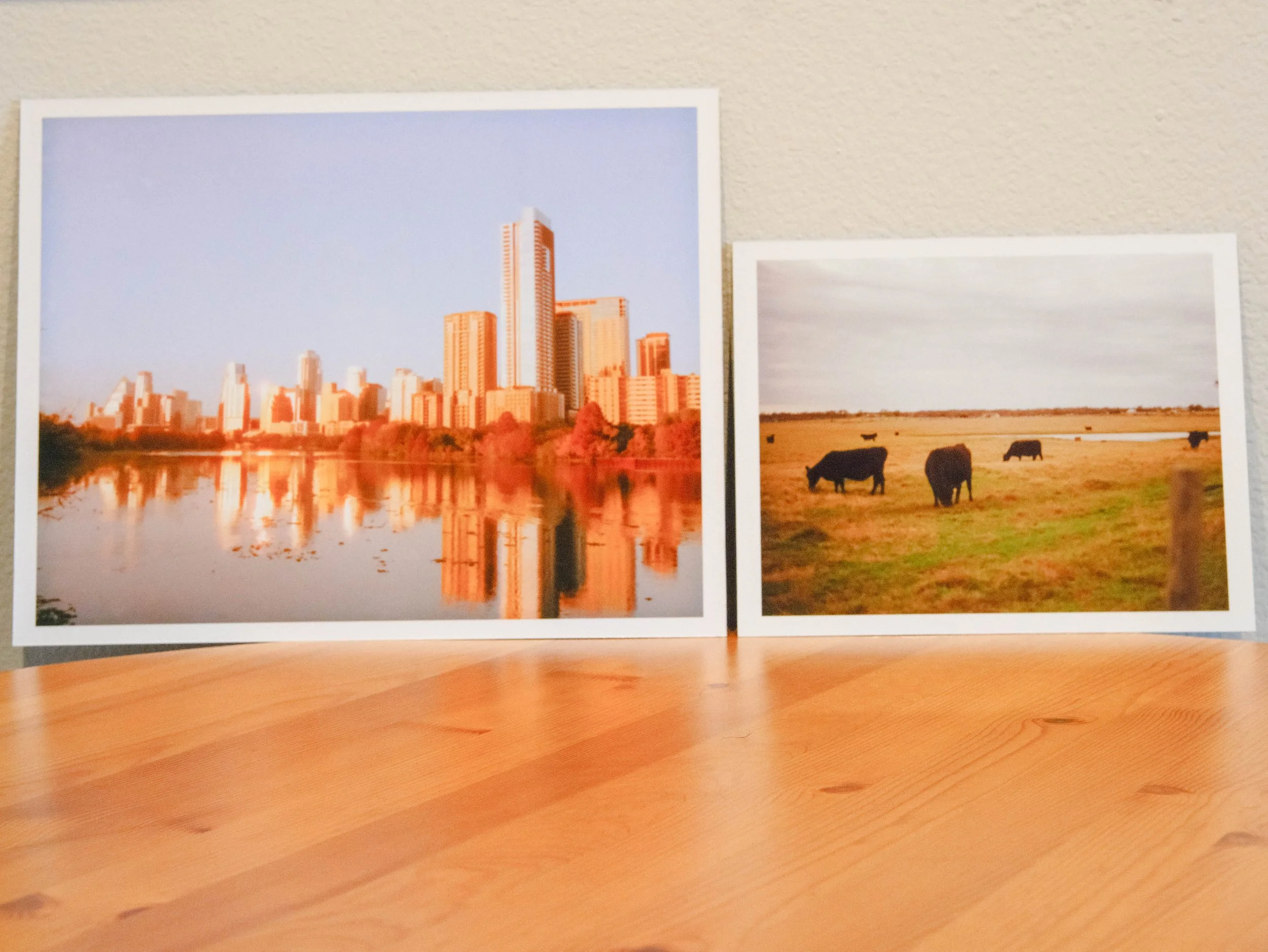 Two landscape photographs, one of a city skyline with high-rise buildings and a river in the foreground, and the other of a rural field with grazing black cows.