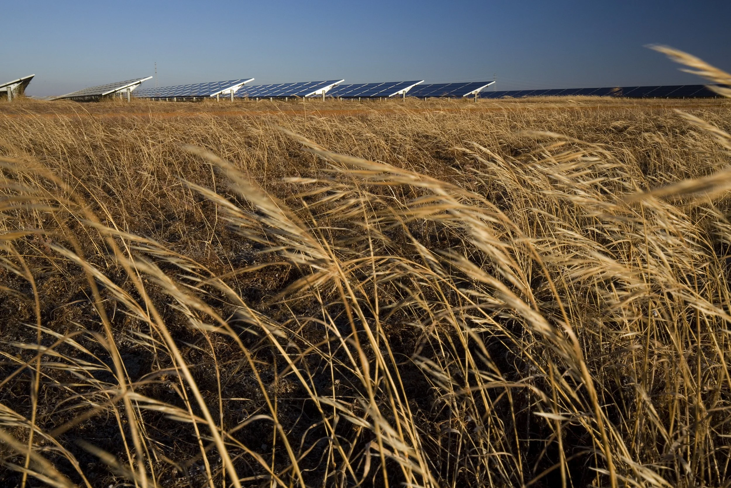 Renewables_SolarFarm_114.jpeg