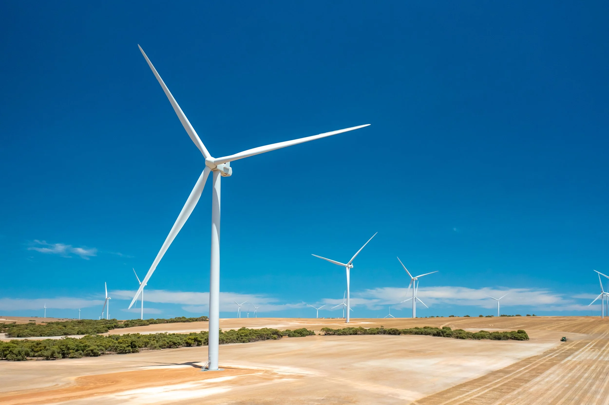 Renewables_WarradargeWindFarm_0032.jpeg