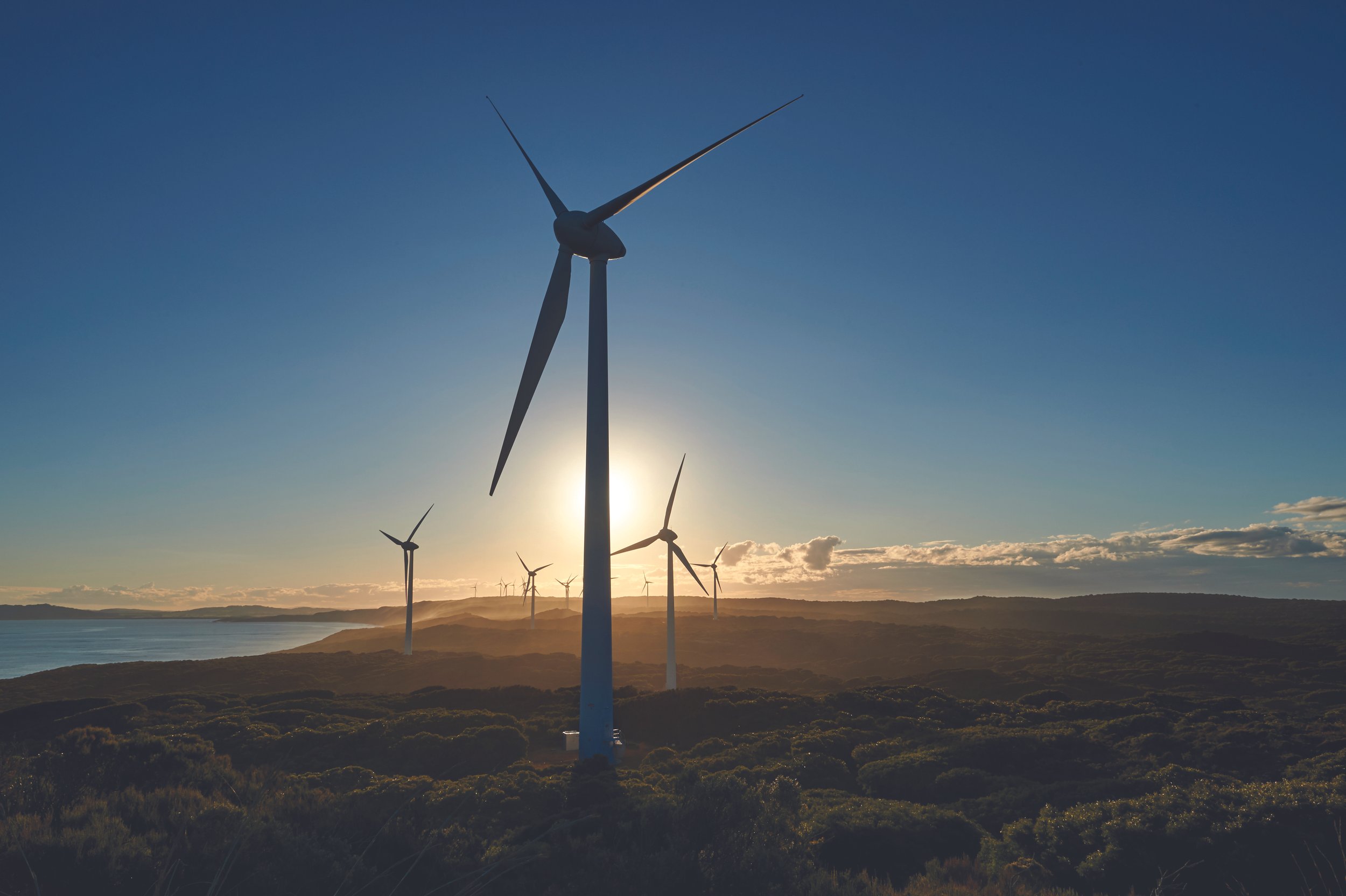 Renewables_AlbanyWindFarm_20.jpeg