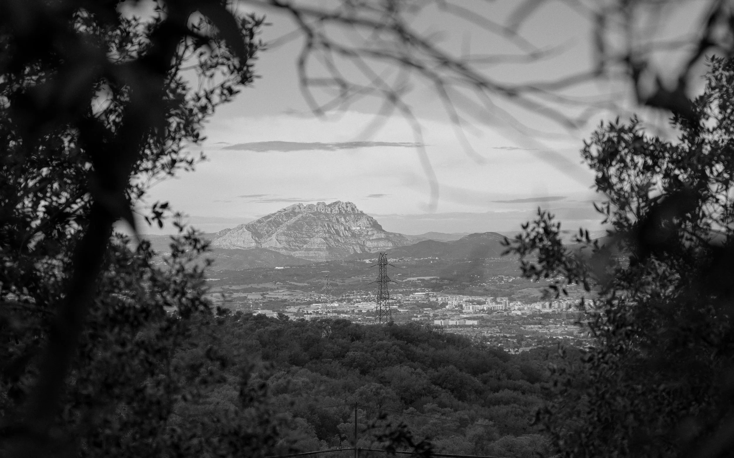 A distant landscape framed by branches and haze