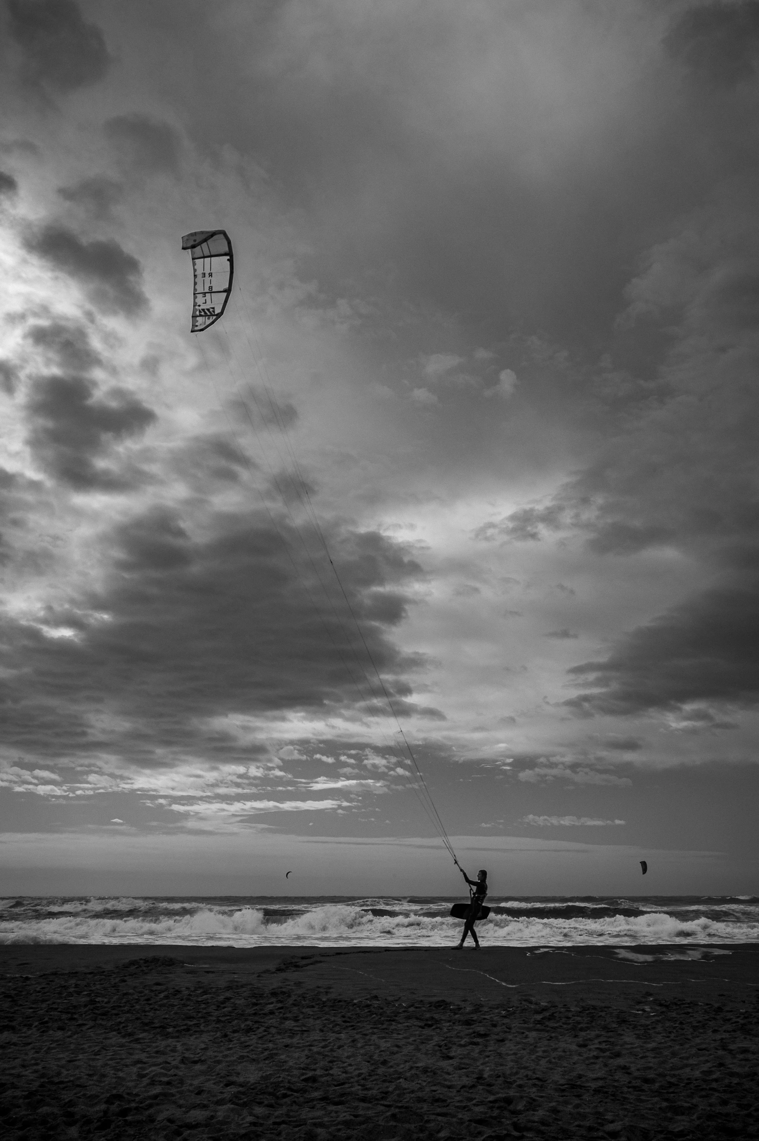 Movement beneath a heavy sky