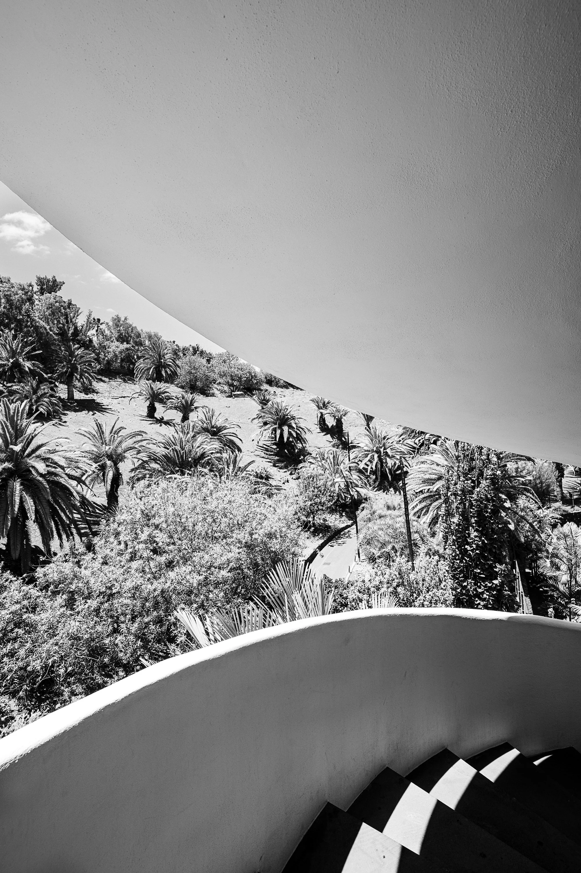 Curved white architecture overlooking a palm garden in strong sunlight and shadow.
