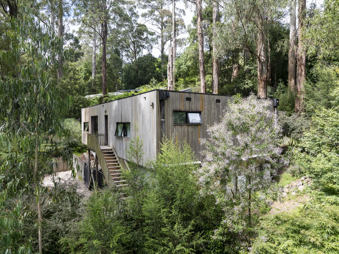 A modern wooden house situated among tall trees and lush greenery on a hillside.