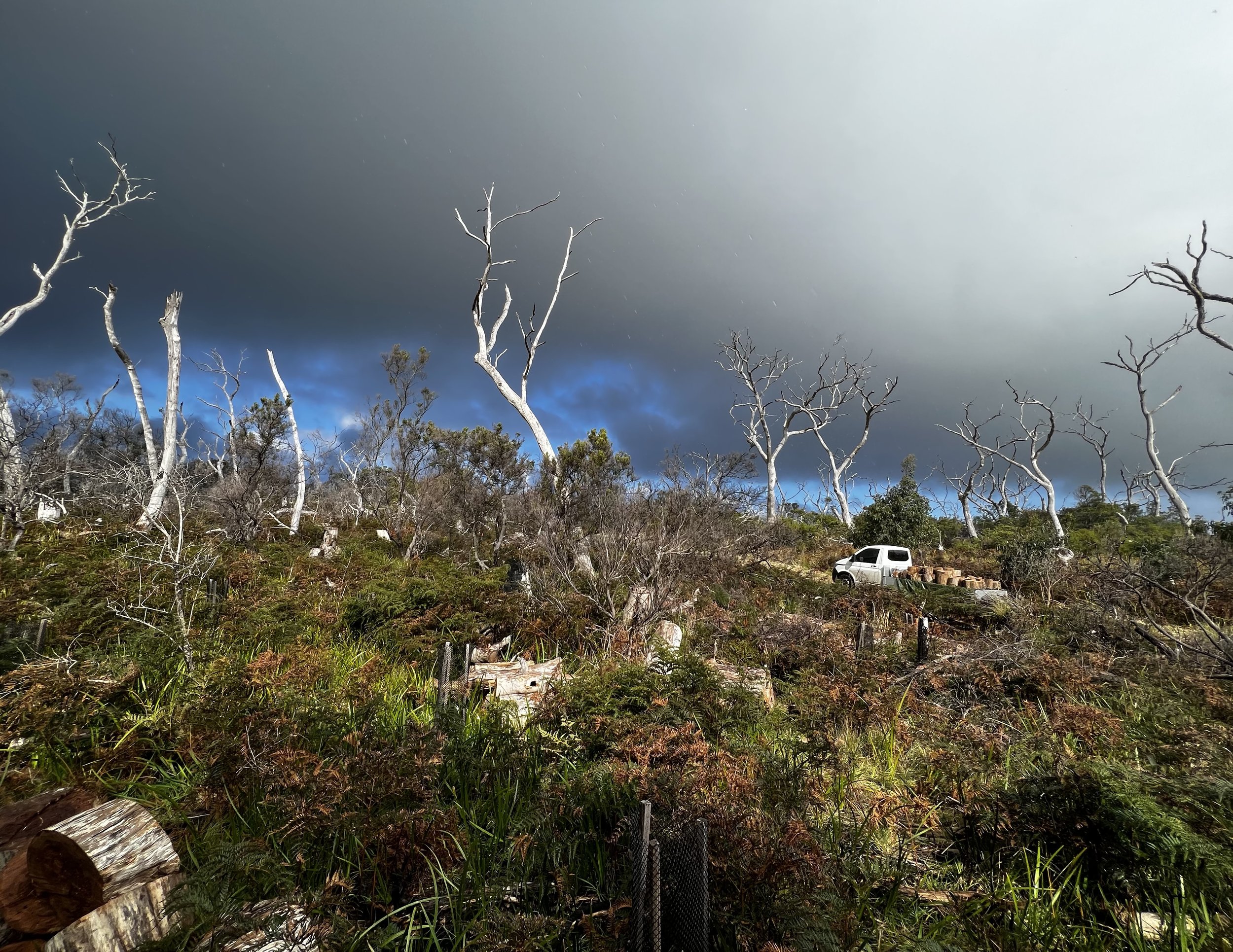 Cape Otway House — Otway Park