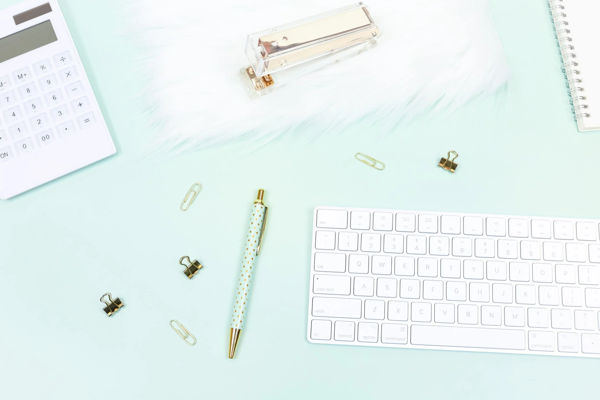 12+ Ways to Use Styled Stock Photos
