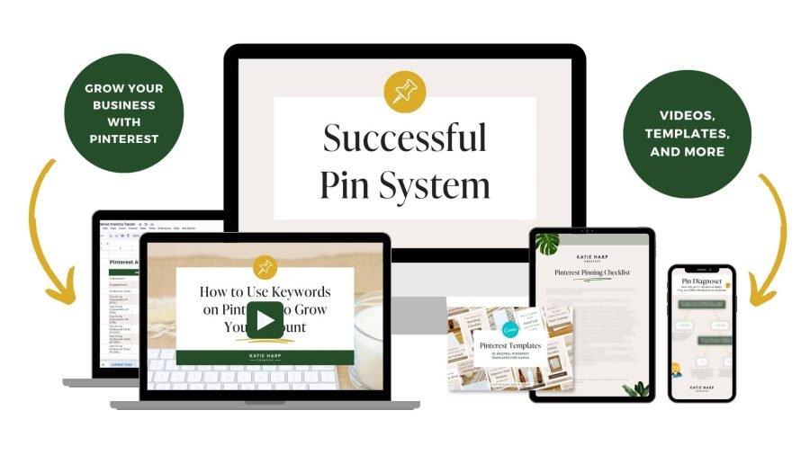 Successful Pin System