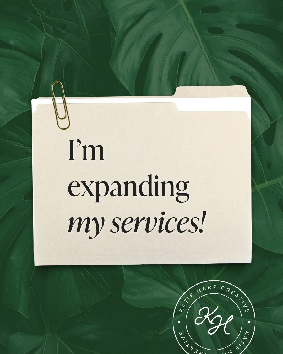 I&rsquo;m expanding my services!

Swipe to see the details. 👉