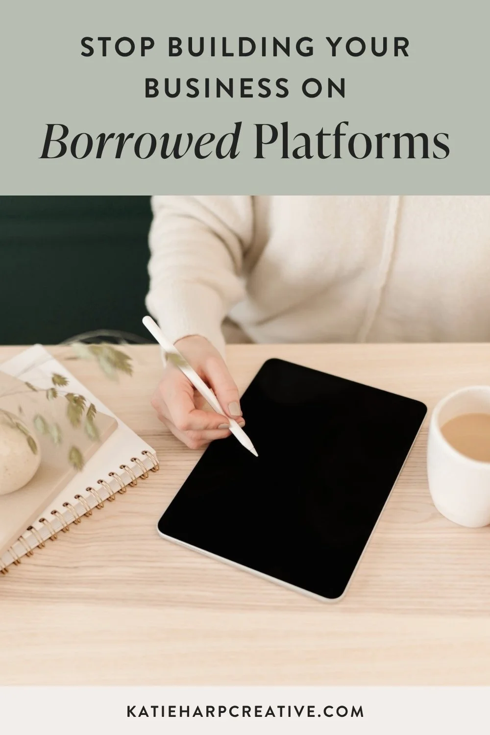 Stop Building Your Business on Borrowed Platforms
