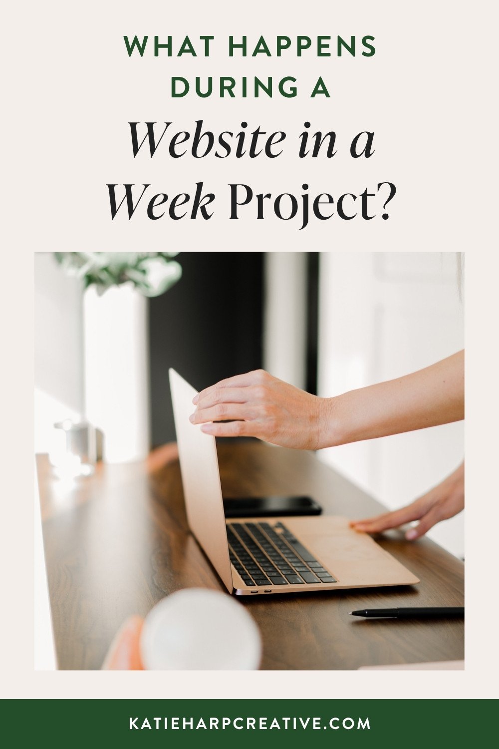 What Happens During a Website in a Week Project?