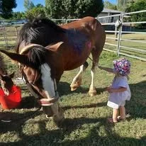 A woman sitting on the grass with a brown and white horse nearby. A girl in a white dress and floral hat stands close to the horse, holding a purple bouquet of flowers.