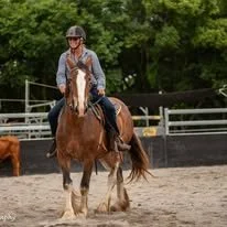 Person riding a horse in an outdoor riding arena