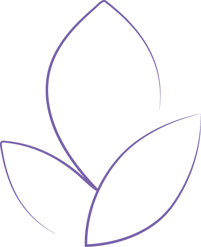 Breaking Limits Support and Wellness logo, abstract purple leaf design