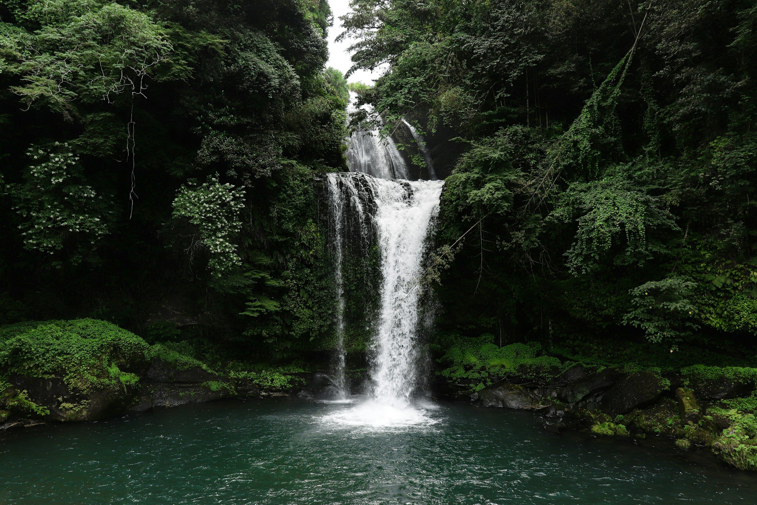 unsplash-image-QaQGXOrnWa8.jpg