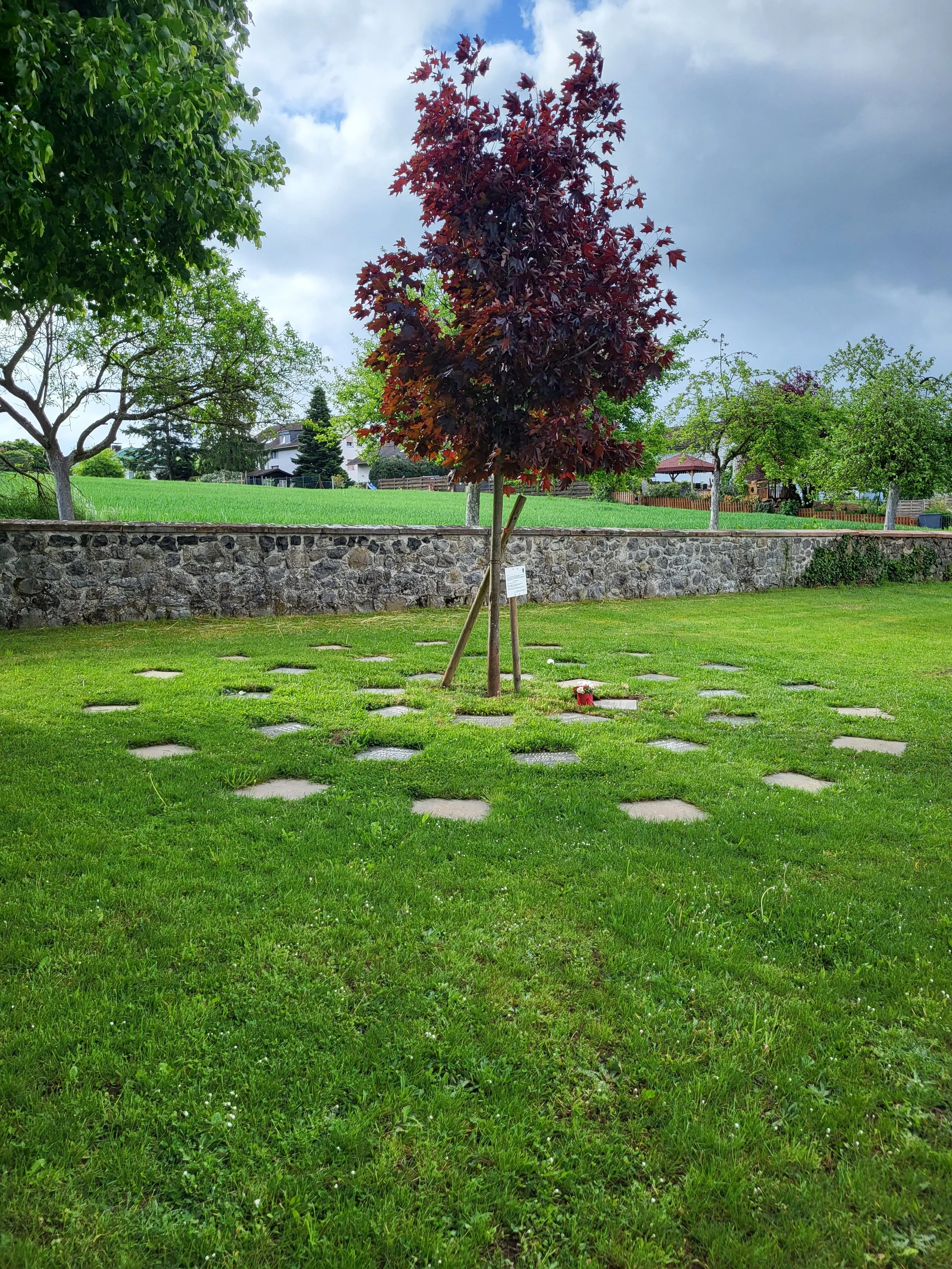 Ein grüner Park mit mehreren Bäumen, einer Mauer im Hintergrund und einem zugegebenermaßen bewölkten Himmel.