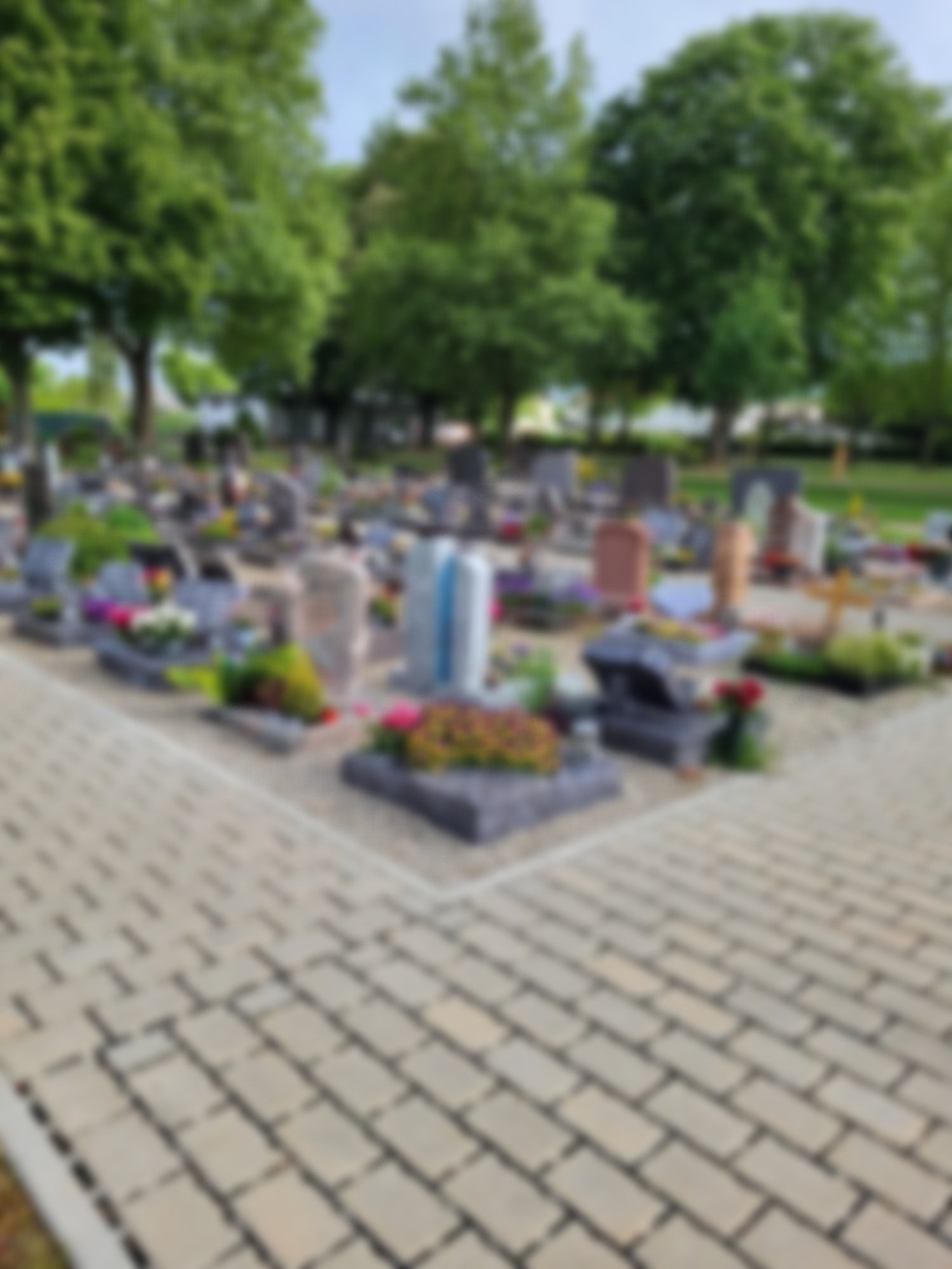 Gräber auf einem Friedhof mit grünen Bäumen im Hintergrund.