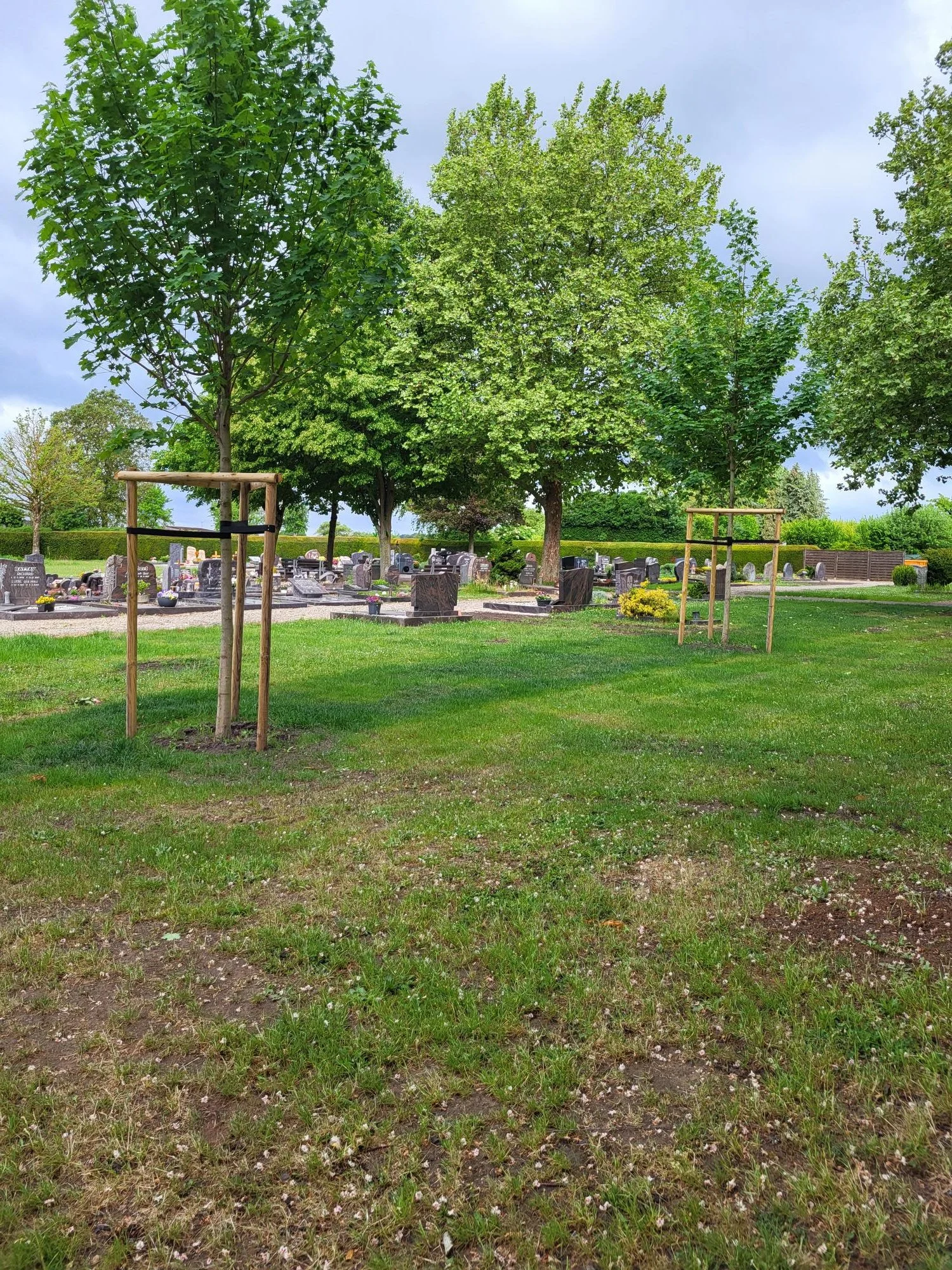Grüner Friedhof mit Gräbern, Bäumen und Rasen, bewölkter Himmel